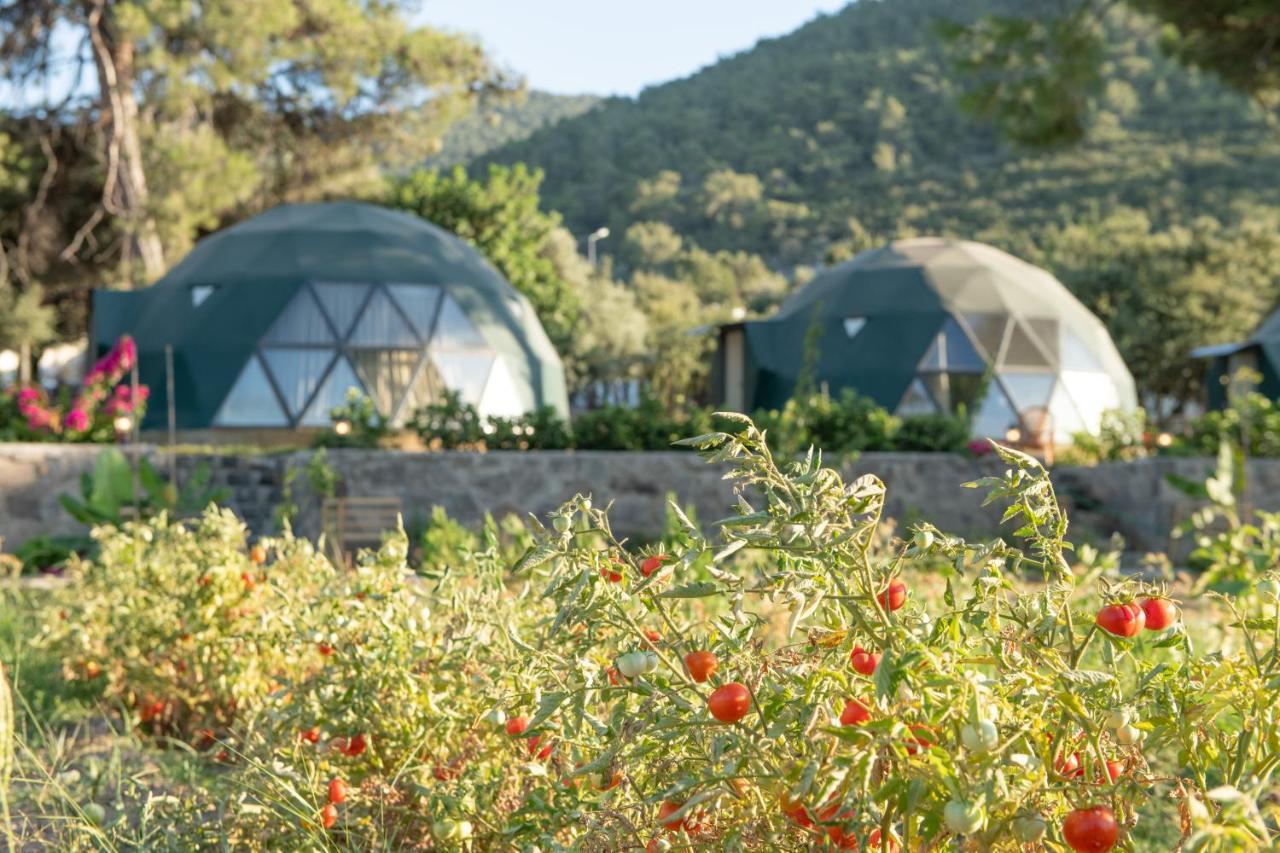 Lusso Glamping Bodrum Hotel Kültér fotó
